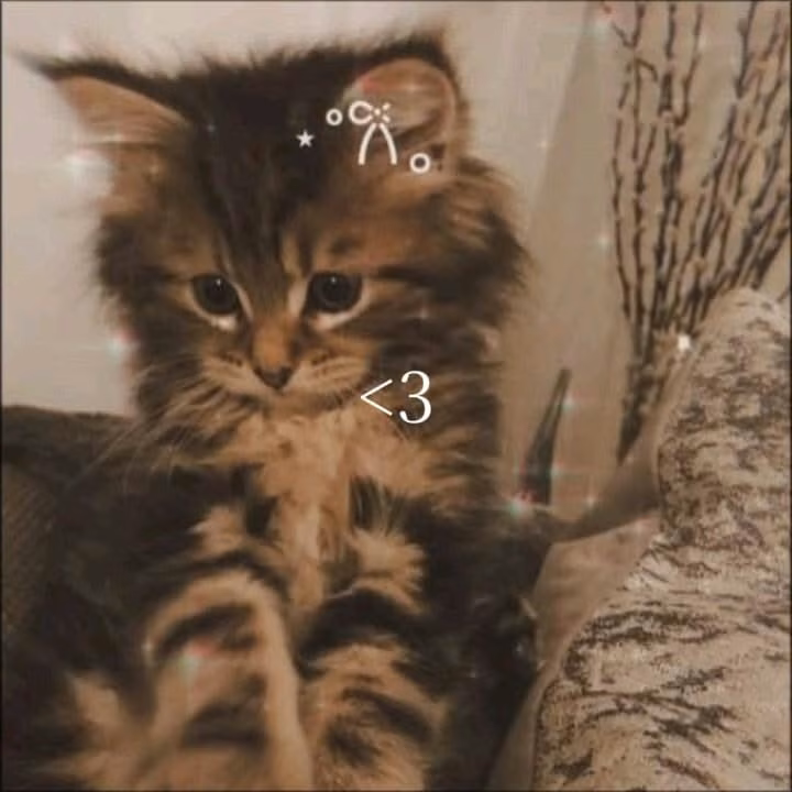a07c3975e3aa5dae2f618586f2f6dbc7.avif